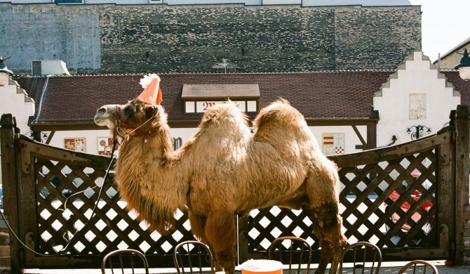 Wilco – „Wilco (The Album)”