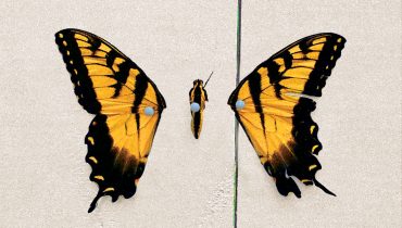 PARAMORE – „Brand New Eyes”