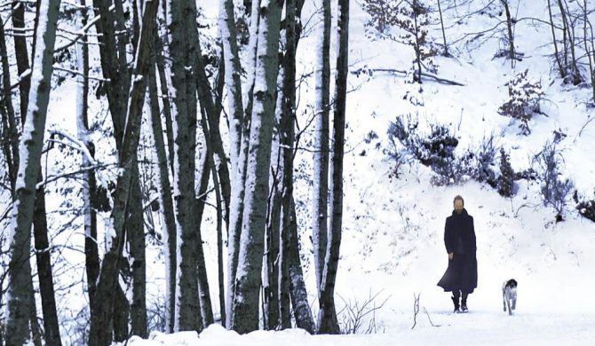 Sting – „If On A Winter’s Night…”