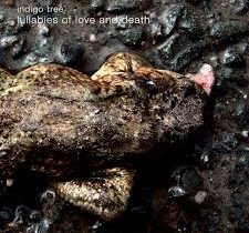 Indigo Tree – „Lullabies Of Love And Death”