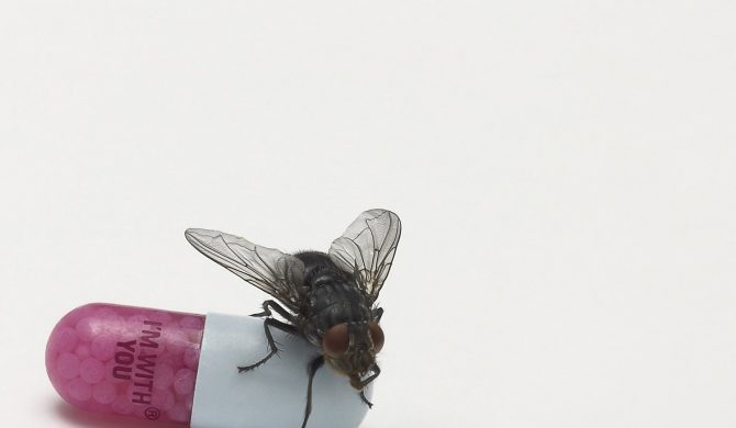 Red Hot Chili Peppers – „I`m With You”