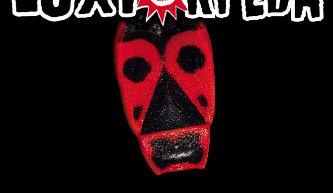 Luxtorpeda – „Robaki”