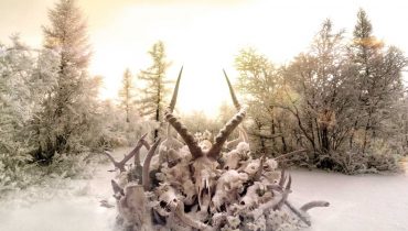 SOUNDGARDEN – „King Animal”