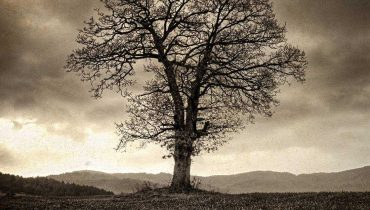 T.LOVE – „Old is Gold”