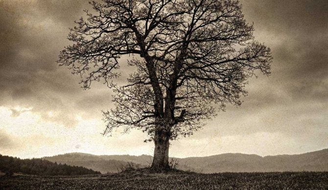 T.LOVE – „Old is Gold”