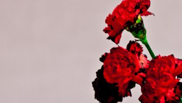 John Legend – „Love In The Future”