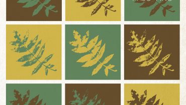 Komety – „Paso Fino”