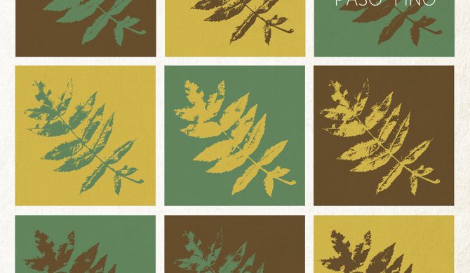 Komety – „Paso Fino”