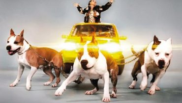 Mister D. – „Społeczeństwo jest niemiłe”