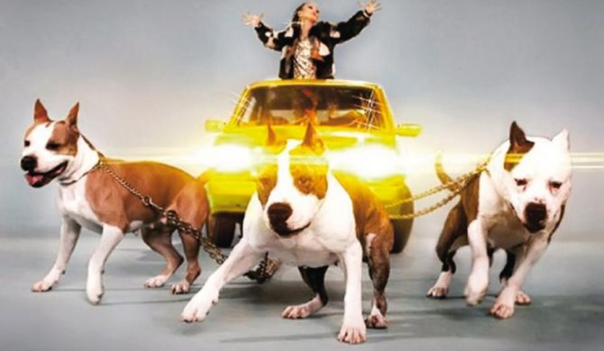 Mister D. – „Społeczeństwo jest niemiłe”