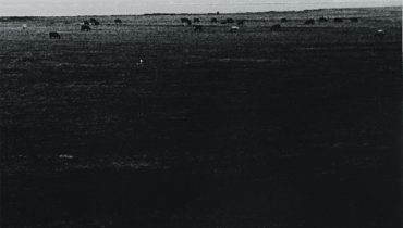 Haju – „Elipsa”