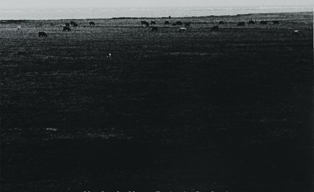 Haju – „Elipsa”