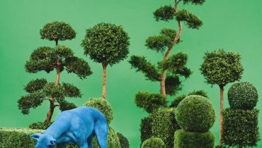 Snoop Dogg – „Bush”