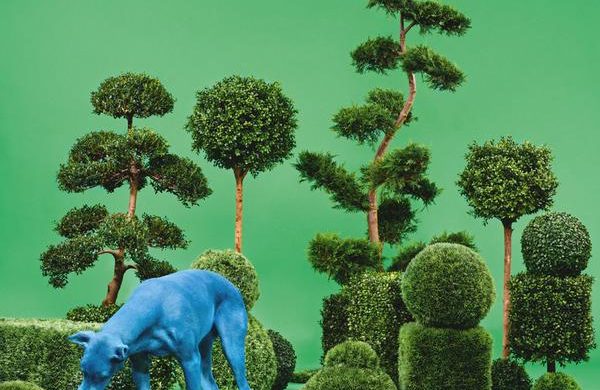 Snoop Dogg – „Bush”