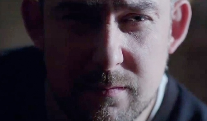 Ptaki remiksują Sokoła