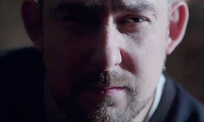 Ptaki remiksują Sokoła