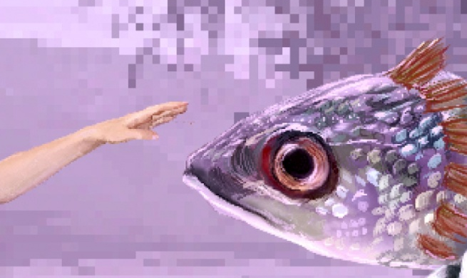 Gaba Kulka – nowy klip i rozpiska trasy koncertowej