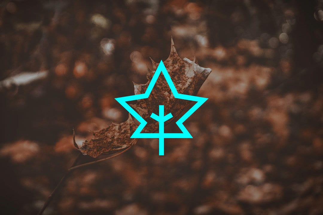 Terapeutyczna moc muzyki z TIDAL