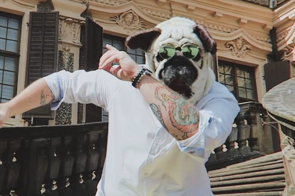 Mops zaprezentował nowy klip