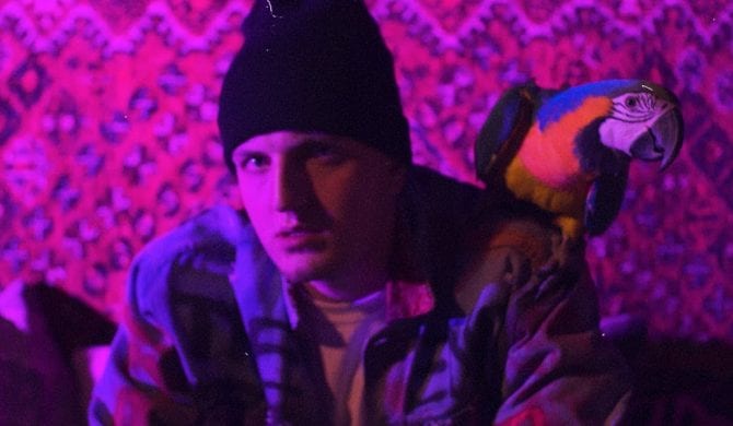 Guzior zaczepia Bedoesa