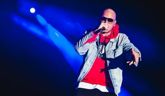 Nieprzyjemna holenderska przygoda Palucha