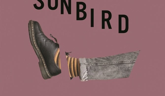 Sonbird – „Głodny”