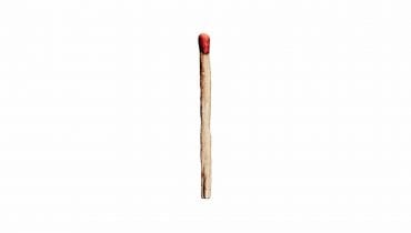 Rammstein – „Rammstein”