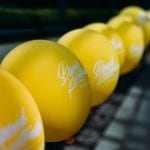 Tłumy fanów na premierze albumu Dawida Kwiatkowskiego Tłumy fanów na premierze albumu Dawida Kwiatkowskiego