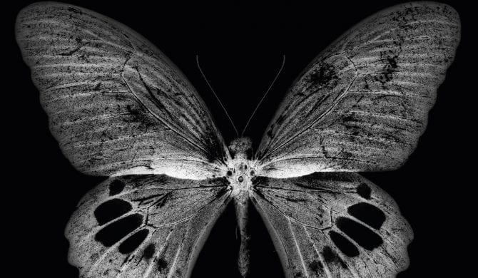 Jamal – „Czarny motyl” (recenzja)