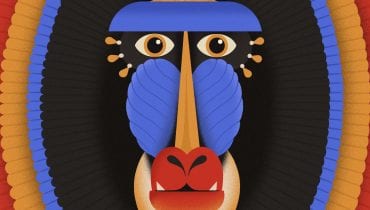 Javva – „Balance Of Decay” (recenzja)