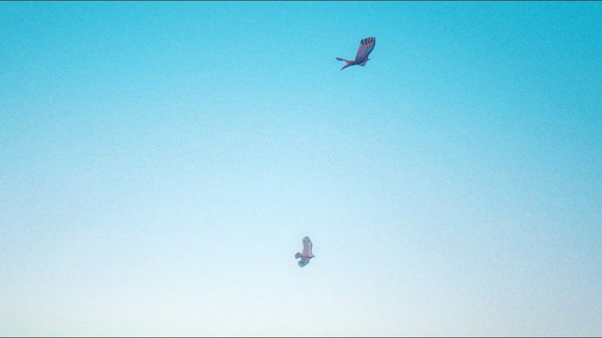 OKI – „Nie martw się mamo”