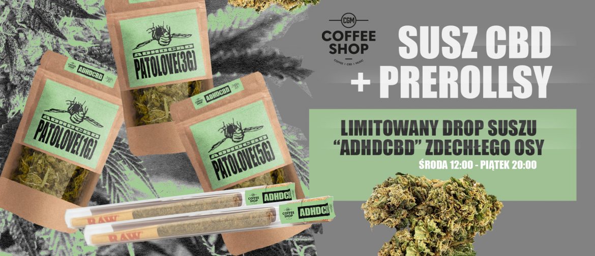 Limitowany drop CBD Zdechłego Osy tylko w CGM Coffee Shopie