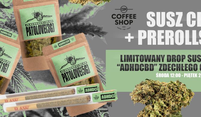 Limitowany drop CBD Zdechłego Osy tylko w CGM Coffee Shopie