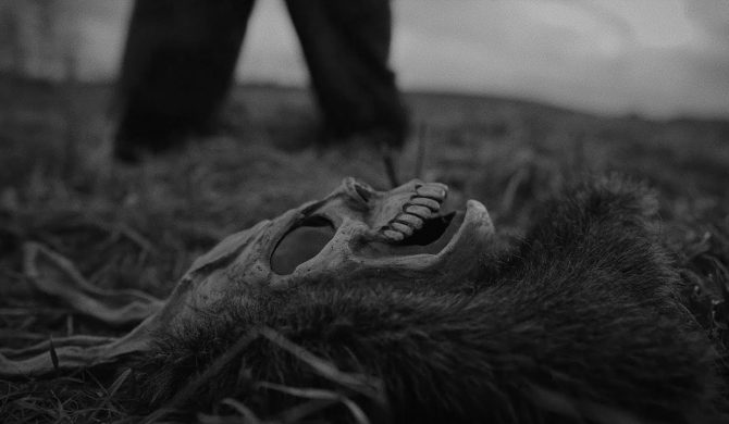 U Szpaka skończyło się odliczanie, a po chwili padł serwer