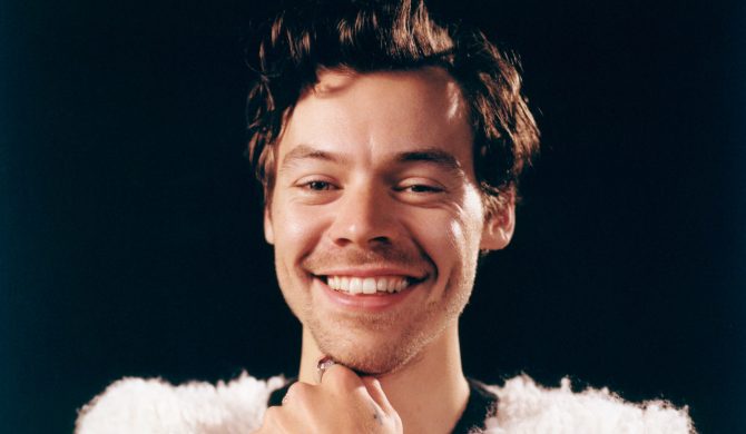Harry Styles zawiesza karierę filmową