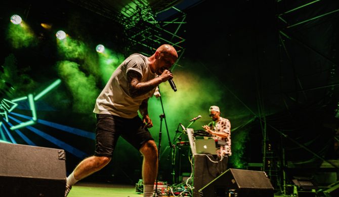 Małpa na zdjęciach ze Strefy Jelenia