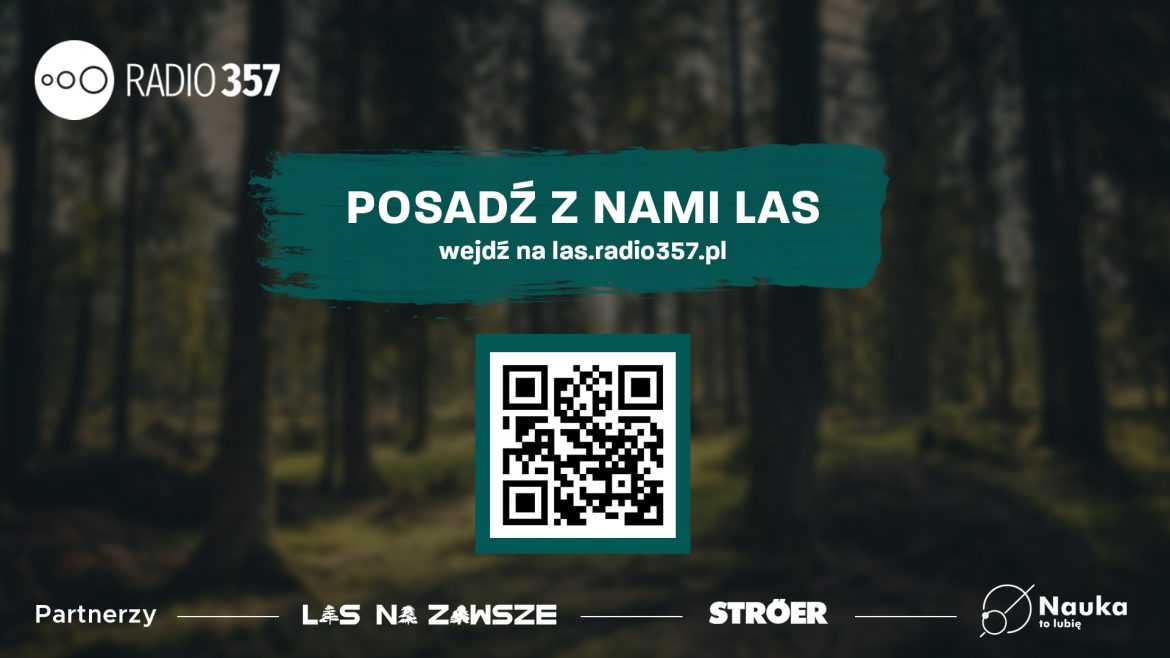 Radio 357 w trzy dni zebrało środki na posadzenie 3,57 hektara lasu