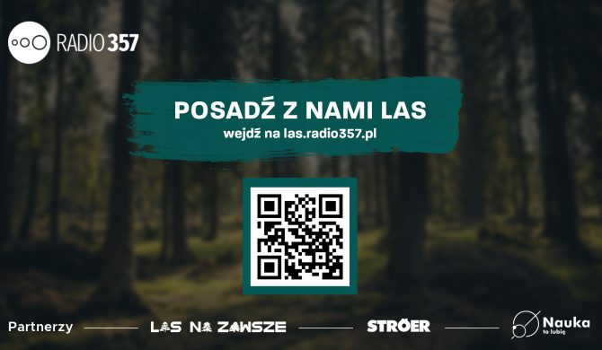 Radio 357 w trzy dni zebrało środki na posadzenie 3,57 hektara lasu