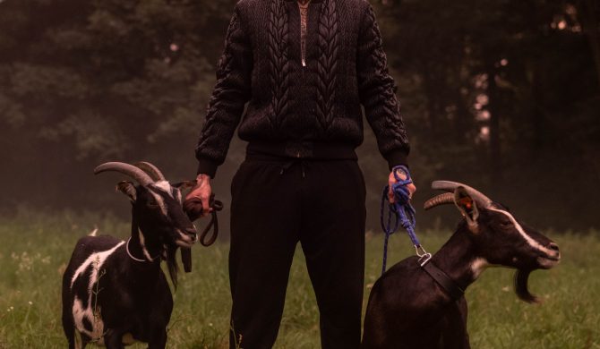 Portugalia odpada z mundialu, Smolasty proponuje karę śmierci dla trenera