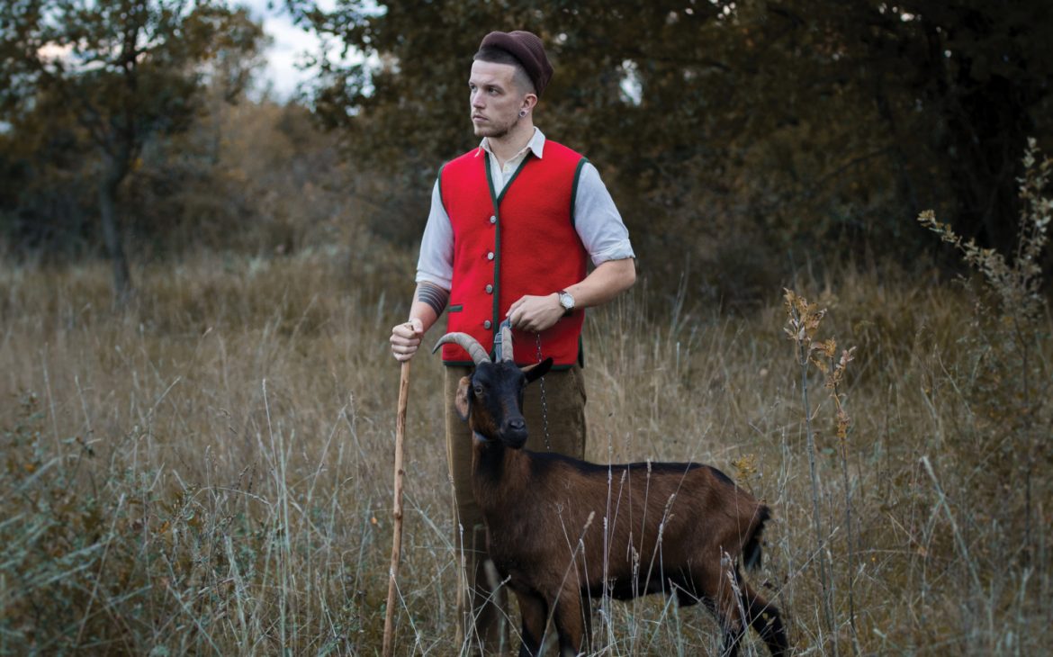 Gorączka Baby Lasagna trwa. „Rim Tim Tagi Dim” sprawi, że cała Europa będzie miauczeć