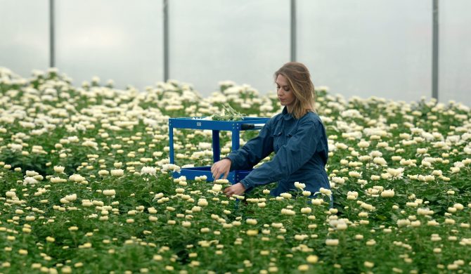 Julia Kamińska prezentuje nowy singiel „MORZE” – poetycka podróż na granicy światów