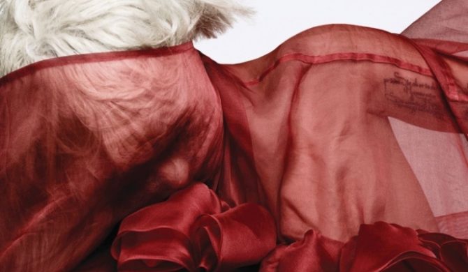 „Bad Romance” w wykonaniu grupy chłopaków [video]