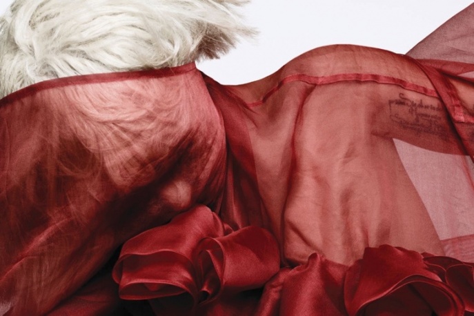 „Bad Romance” w wykonaniu grupy chłopaków [video]