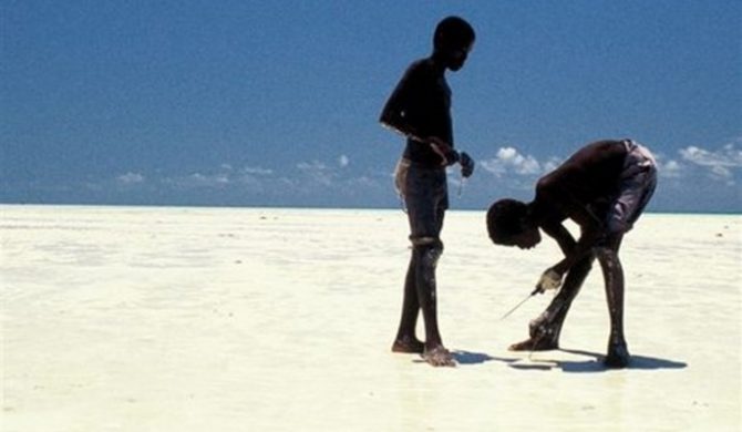 OLiS: Światowi Polacy