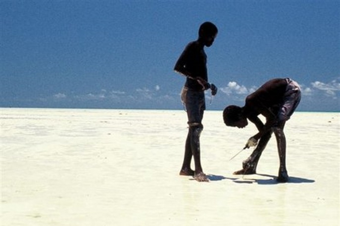 OLiS: Światowi Polacy