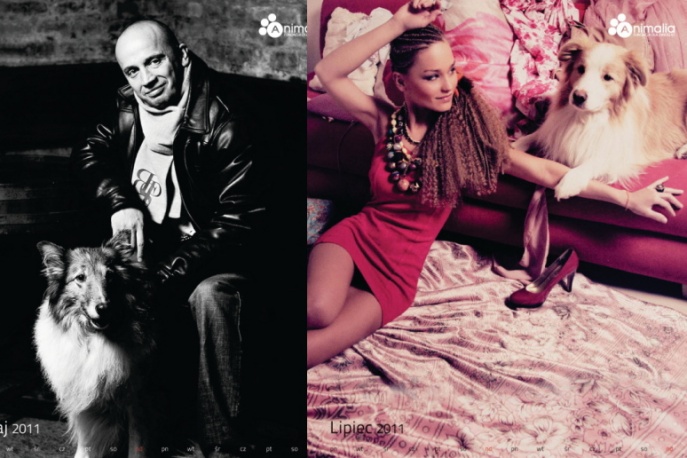 Peja, Marika, Titus i Przemyk razem dla zwierząt