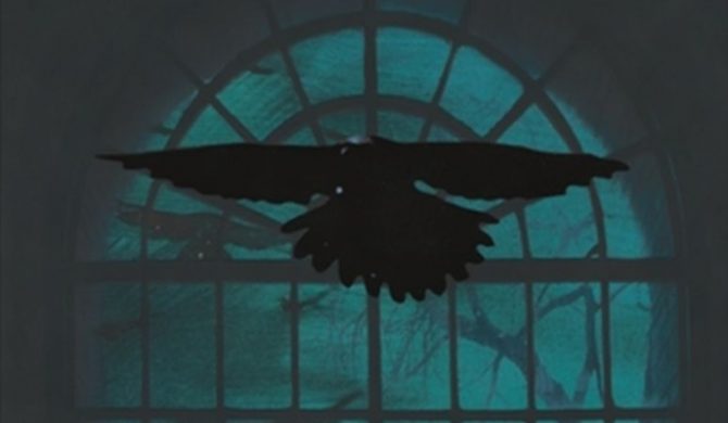 Zespół Kruk planuje kolejne DVD