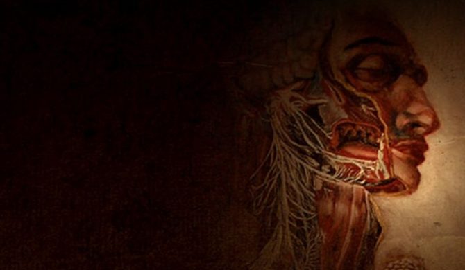 Supergrupa członków Korn, Bad Religion i Faith No More