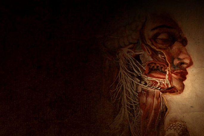 Supergrupa członków Korn, Bad Religion i Faith No More