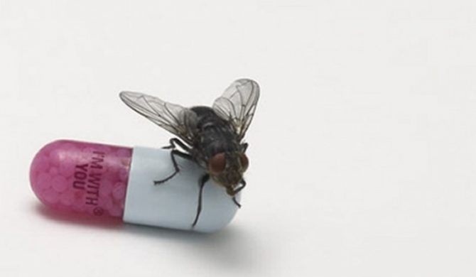 Red Hot Chili Peppers są z nami